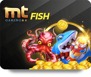 How to Choose the Best Live Casino for Your Play